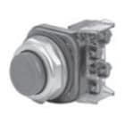 Allen-Bradley - 30mm Push Button 800H