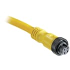 Allen-Bradley - 889 MINI CABLE, 4-PIN, 5M