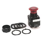 Allen-Bradley - 30mm Illuminated Push-Pull 800H