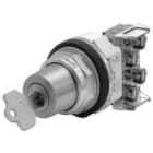 Allen-Bradley - 30MM SELECTOR SWITCH 800T PB