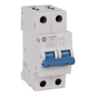 Allen-Bradley - 2-Pole Trip Curve D 2 A
