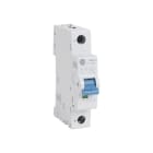 Allen-Bradley - MCB Supplementary Protector 16 A
