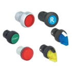 Allen-Bradley - flush alternate action 800F 22 mm