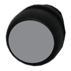 Allen-Bradley - Push But2n Plastic Flush Grey