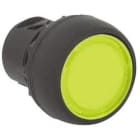 Allen-Bradley - Illum Push But2n Plastic Flush Yell