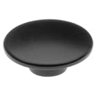 Allen-Bradley - 30MM REPLACEMENT COLOR CAP 800H PB