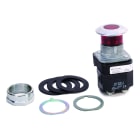 Allen-Bradley - 800T 30mm Push Button