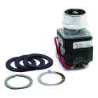 Allen-Bradley - PILOT LIGHT PUSH TO TEST 110V