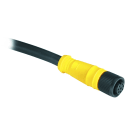 Allen-Bradley - QD CORDSET ,STRAIGHT FEMALE,8 PIN