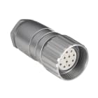 Allen-Bradley - 889M M23 cord set or patch cor