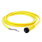 Allen-Bradley - Cordset 5pinFem StrHead PVC6ft