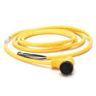 Allen-Bradley - 889 MINI CABLE