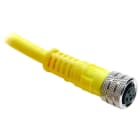 Allen-Bradley - 889 989P pico cord set or patch co