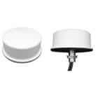 Prosoft - 4 dBi Omni RP-SMA MIMO antenna with 6