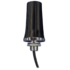 Prosoft - 3dBi Omni RP-SMA bulkhead mount with 5'