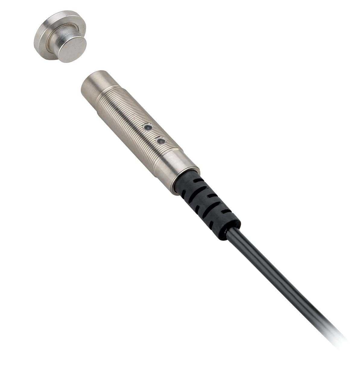 Guardmaster - SENSAGUARD STD SS BARREL SWITCH 3M