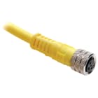 Allen-Bradley - Cordset M8Fem 90deg 3pin3wire PVC5Mtr