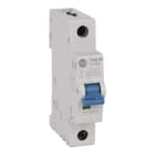 Allen-Bradley - 10A SP TYPE D 10KA MCB