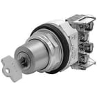 Allen-Bradley - 800T 30mm Push Button