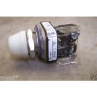 Allen-Bradley - FULL VOLTAGE AC/DC 24V PILOT LIGHT