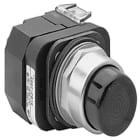 Allen-Bradley - 800T 30mm Push Button