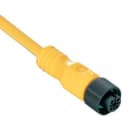 Allen-Bradley - Cordset Fem Micro 5pin 5wire PVC 2 Mtr