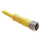 Allen-Bradley - Cordset M8Fem StrHead 3pin3wire PVC2Mtr