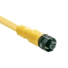 Allen-Bradley - MICRO DISCONNECT 2MTR CABLE
