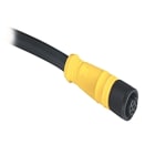 Allen-Bradley - 889 989D DC micro cord set or patc
