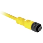 Allen-Bradley - DUAL KEYWAY CORDSET