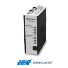 HMS - Profibus Master to Ethernet/IP Slave